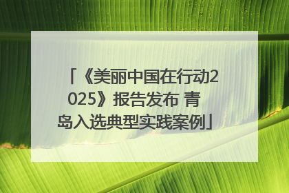 《美丽中国在行动2025》报告发布 青岛入选典型实践案例