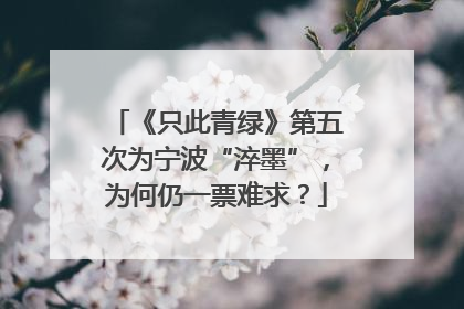 《只此青绿》第五次为宁波“淬墨”，为何仍一票难求？