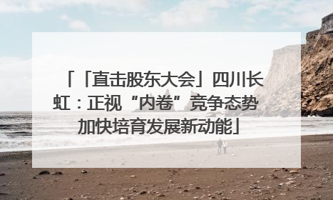 「直击股东大会」四川长虹：正视“内卷”竞争态势 加快培育发展新动能