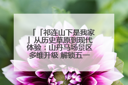 「祁连山下是我家」从历史草原到现代体验：山丹马场景区多维升级 解锁五一文旅新玩法