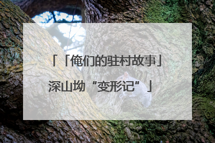 「俺们的驻村故事」深山坳“变形记”