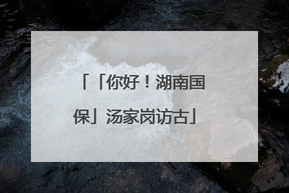 「你好！湖南国保」汤家岗访古