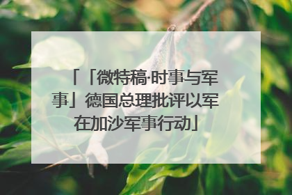 「微特稿·时事与军事」德国总理批评以军在加沙军事行动