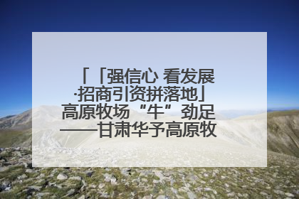「强信心 看发展·招商引资拼落地」高原牧场“牛”劲足——甘肃华予高原牧场高标准奶牛肉牛养殖项目一线见闻