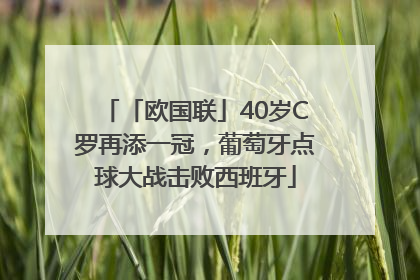 「欧国联」40岁C罗再添一冠，葡萄牙点球大战击败西班牙