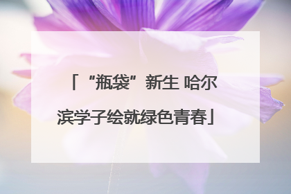 “瓶袋”新生 哈尔滨学子绘就绿色青春