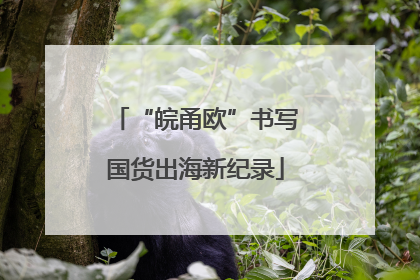 “皖甬欧”书写国货出海新纪录