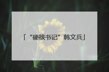“硬核书记”韩文兵