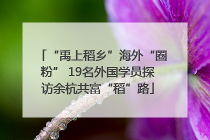 “禹上稻乡”海外“圈粉” 19名外国学员探访余杭共富“稻”路