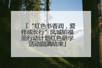 “红色书香润，爱伴成长行”凤城镇福蕾行动计划红色研学活动圆满结束