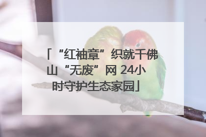 “红袖章”织就千佛山“无废”网 24小时守护生态家园