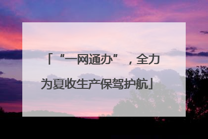“一网通办”，全力为夏收生产保驾护航