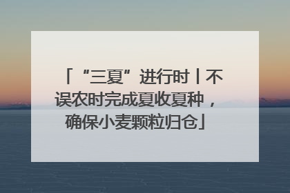 “三夏”进行时丨不误农时完成夏收夏种，确保小麦颗粒归仓