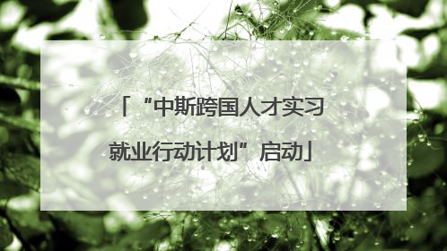 “中斯跨国人才实习就业行动计划”启动