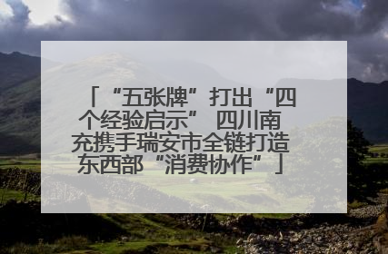 “五张牌”打出“四个经验启示” 四川南充携手瑞安市全链打造东西部“消费协作”