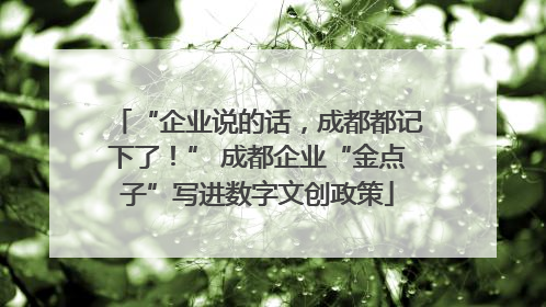 “企业说的话，成都都记下了！” 成都企业“金点子”写进数字文创政策