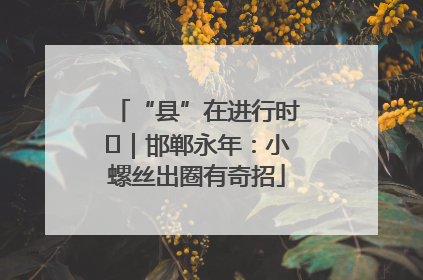 “县”在进行时⑬｜邯郸永年：小螺丝出圈有奇招