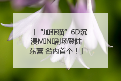 “加菲猫”6D沉浸MINI剧场登陆东营 省内首个！