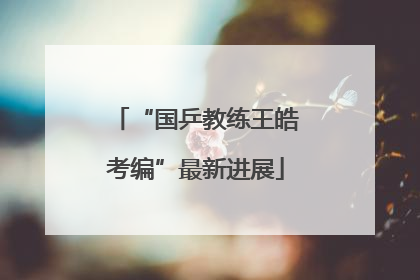 “国乒教练王皓考编”最新进展