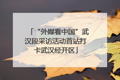 “外媒看中国”武汉段采访活动首站打卡武汉经开区