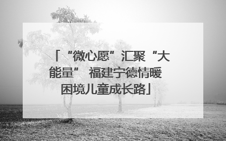“微心愿”汇聚“大能量” 福建宁德情暖困境儿童成长路
