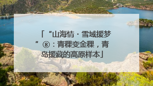 “山海情・雪域援梦”⑧：青稞变金稞，青岛援藏的高原样本