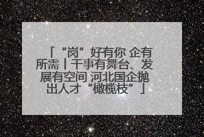 “岗”好有你 企有所需丨干事有舞台、发展有空间 河北国企抛出人才“橄榄枝”