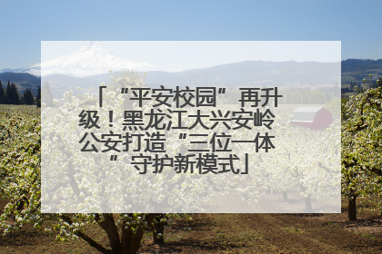 “平安校园”再升级！黑龙江大兴安岭公安打造“三位一体”守护新模式