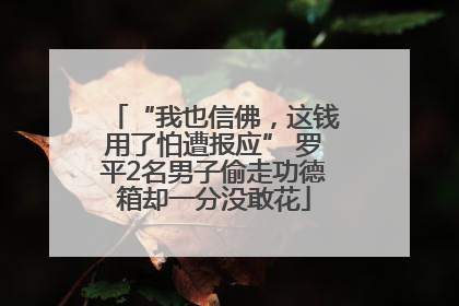 “我也信佛，这钱用了怕遭报应” 罗平2名男子偷走功德箱却一分没敢花