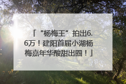 “杨梅王”拍出6.6万！建阳首届小湖杨梅嘉年华酸甜出圈！