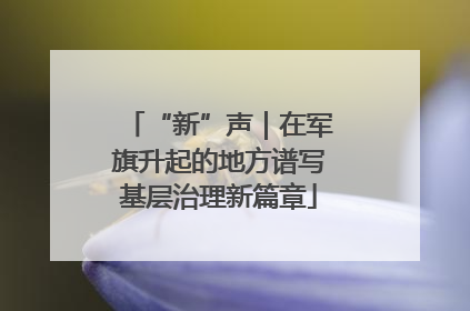 “新”声｜在军旗升起的地方谱写基层治理新篇章
