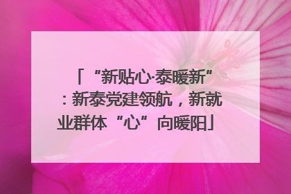 “新贴心·泰暖新”：新泰党建领航，新就业群体“心”向暖阳