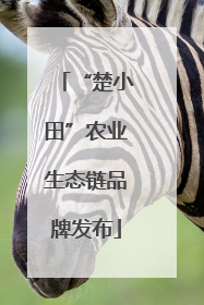 “楚小田”农业生态链品牌发布