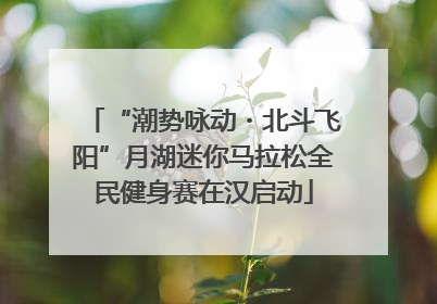 “潮势咏动・北斗飞阳”月湖迷你马拉松全民健身赛在汉启动