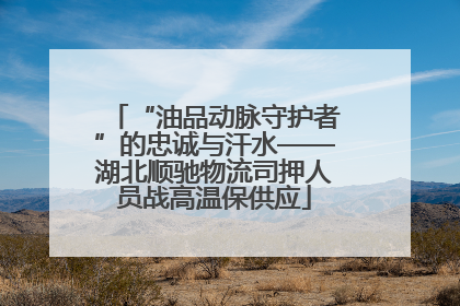 “油品动脉守护者”的忠诚与汗水——湖北顺驰物流司押人员战高温保供应