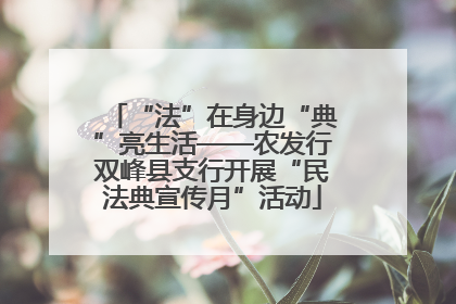 “法”在身边“典”亮生活——农发行双峰县支行开展“民法典宣传月”活动