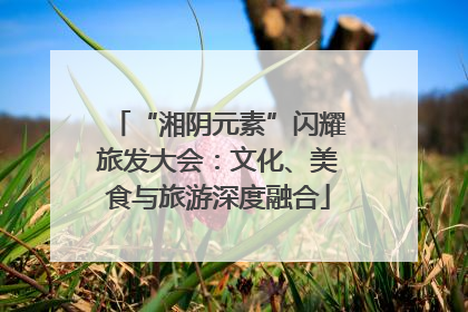 “湘阴元素”闪耀旅发大会：文化、美食与旅游深度融合