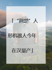 “荆楚”人形机器人今年在汉量产