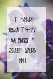 “苏超”燃动千年古城 跟着“苏超”游扬州