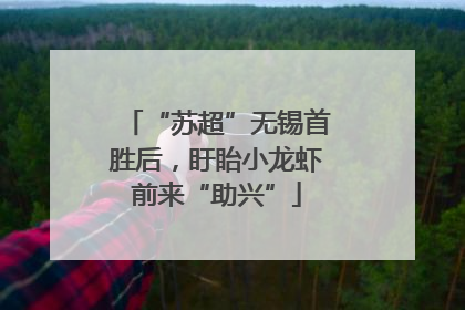 “苏超”无锡首胜后，盱眙小龙虾前来“助兴”