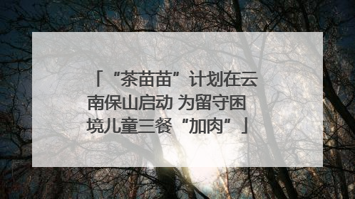 “茶苗苗”计划在云南保山启动 为留守困境儿童三餐“加肉”