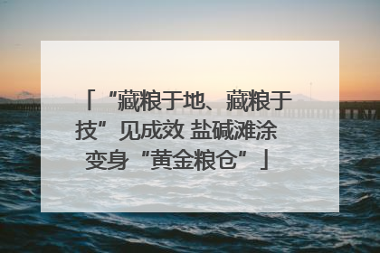 “藏粮于地、藏粮于技”见成效 盐碱滩涂变身“黄金粮仓”