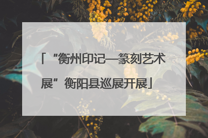 “衡州印记—篆刻艺术展”衡阳县巡展开展