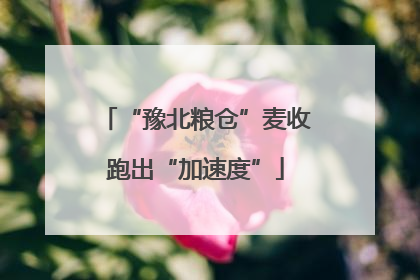 “豫北粮仓”麦收跑出“加速度”
