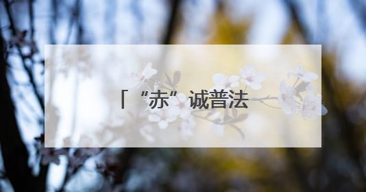 “赤”诚普法进茶乡 “心”系古镇护文脉