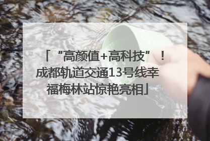 “高颜值+高科技”！成都轨道交通13号线幸福梅林站惊艳亮相
