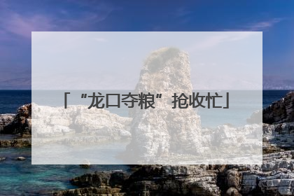 “龙口夺粮”抢收忙