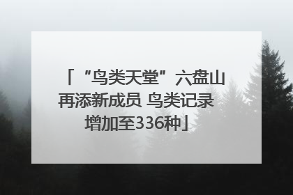 “鸟类天堂”六盘山再添新成员 鸟类记录增加至336种