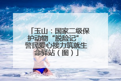 玉山：国家二级保护动物“脱险记” 警民爱心接力筑就生命驿站（图）