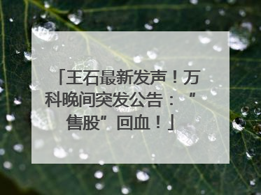 王石最新发声！万科晚间突发公告：“售股”回血！